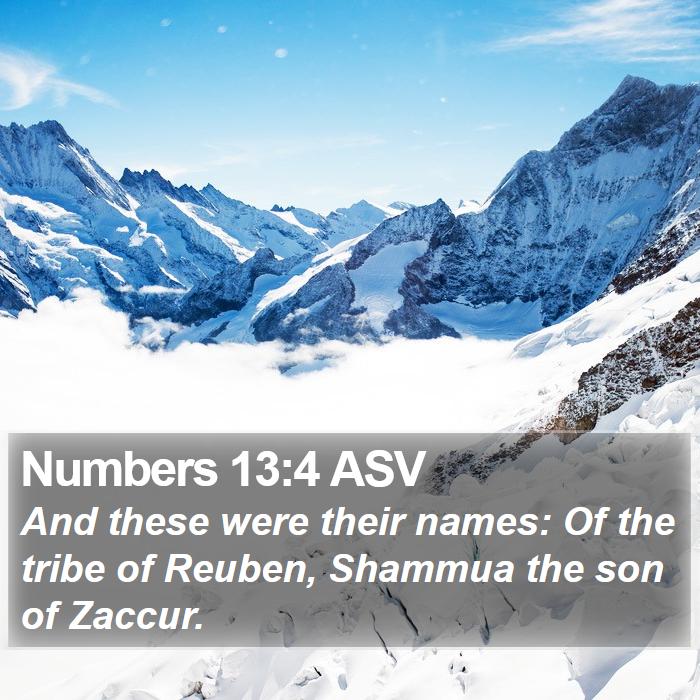 Numbers 13:4 ASV Bible Study