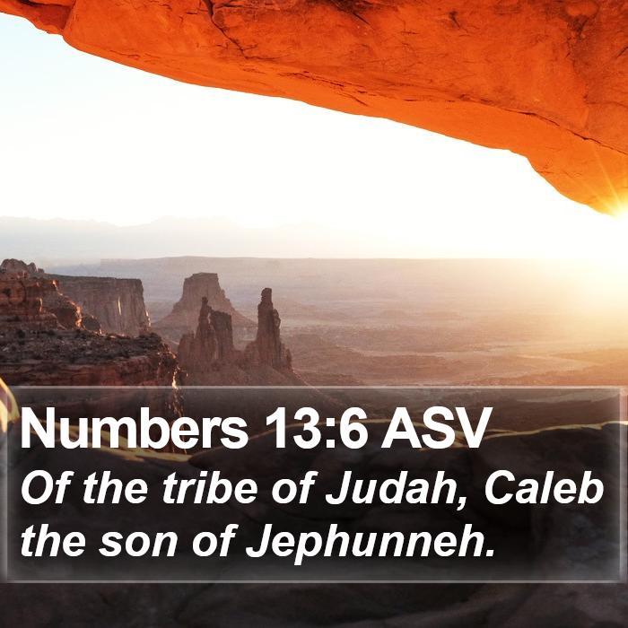 Numbers 13:6 ASV Bible Study