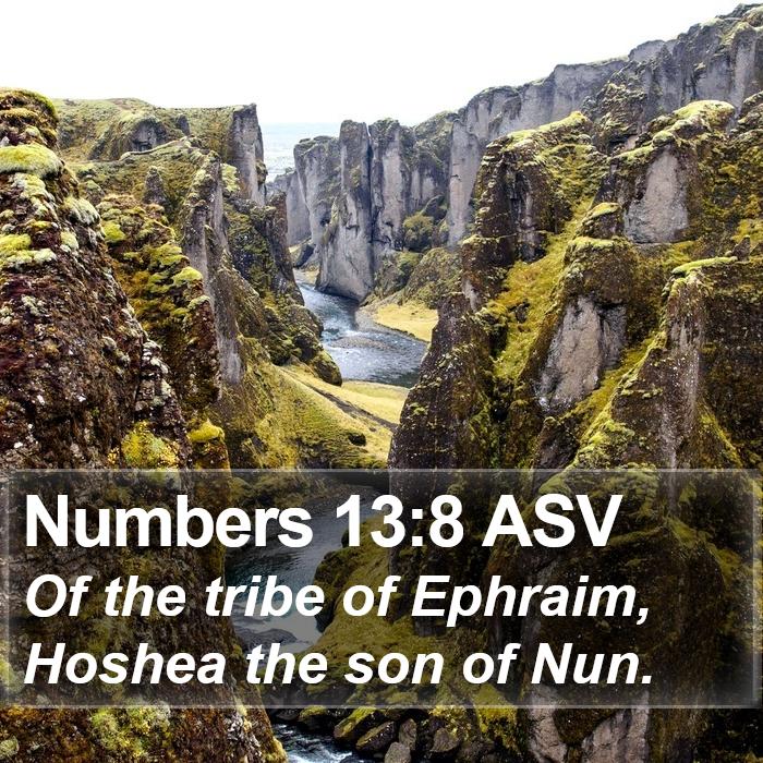 Numbers 13:8 ASV Bible Study