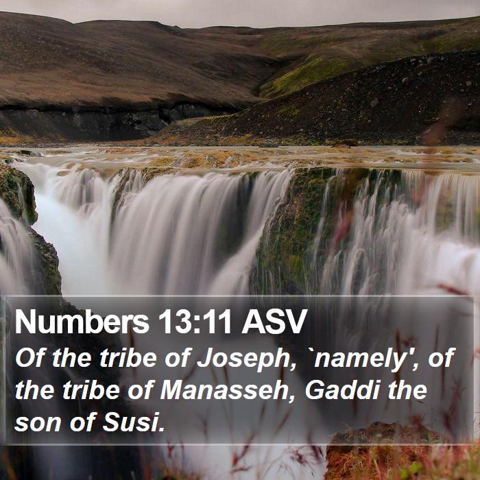 Numbers 13:11 ASV Bible Study