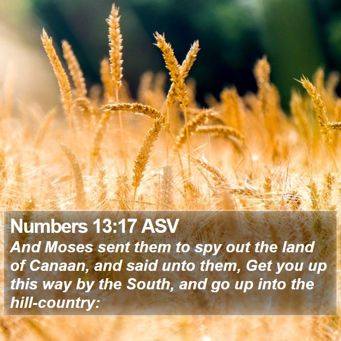 Numbers 13:17 ASV Bible Study