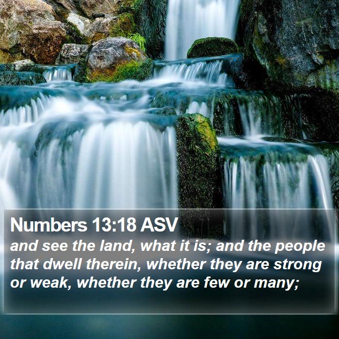 Numbers 13:18 ASV Bible Study