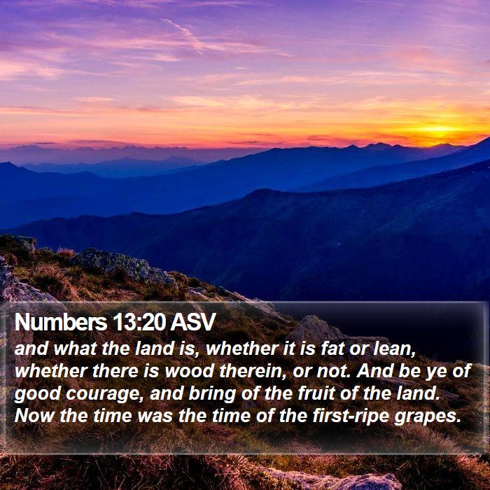 Numbers 13:20 ASV Bible Study