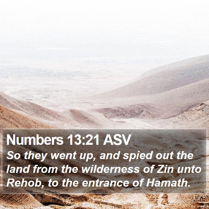 Numbers 13:21 ASV Bible Study