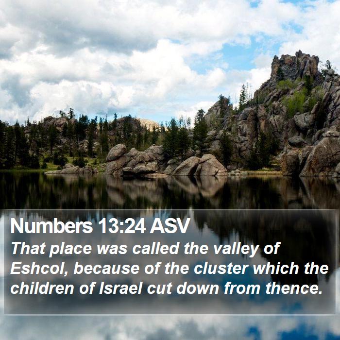 Numbers 13:24 ASV Bible Study