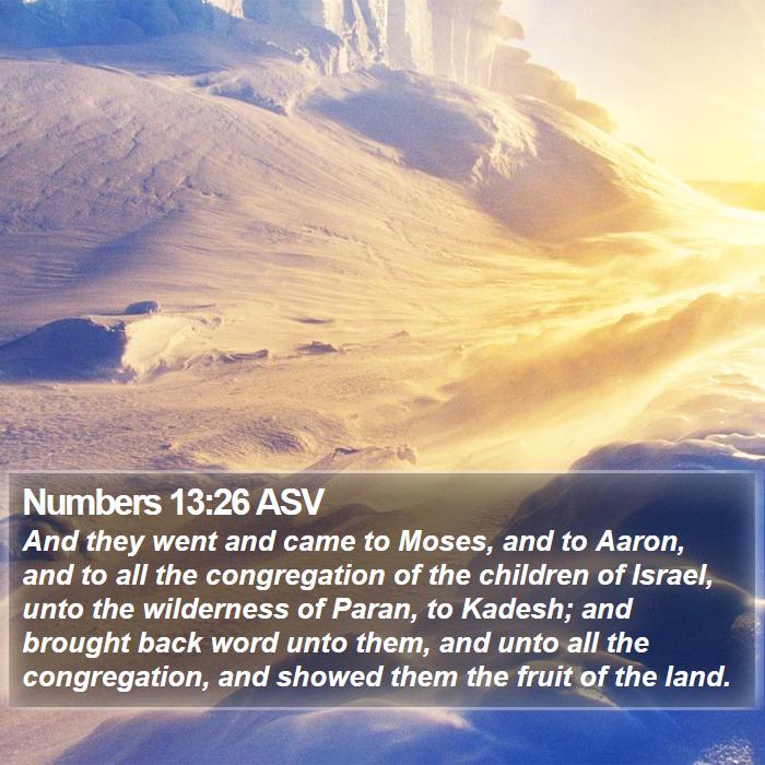 Numbers 13:26 ASV Bible Study