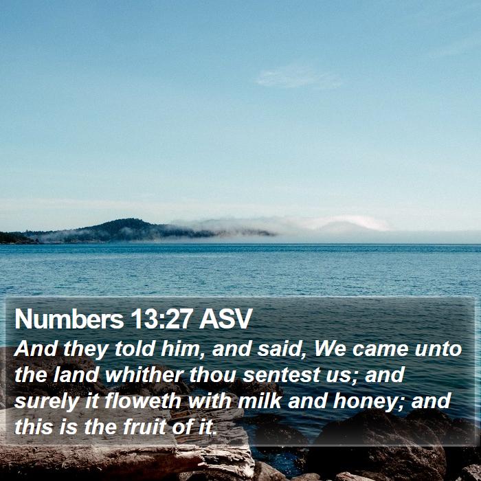 Numbers 13:27 ASV Bible Study