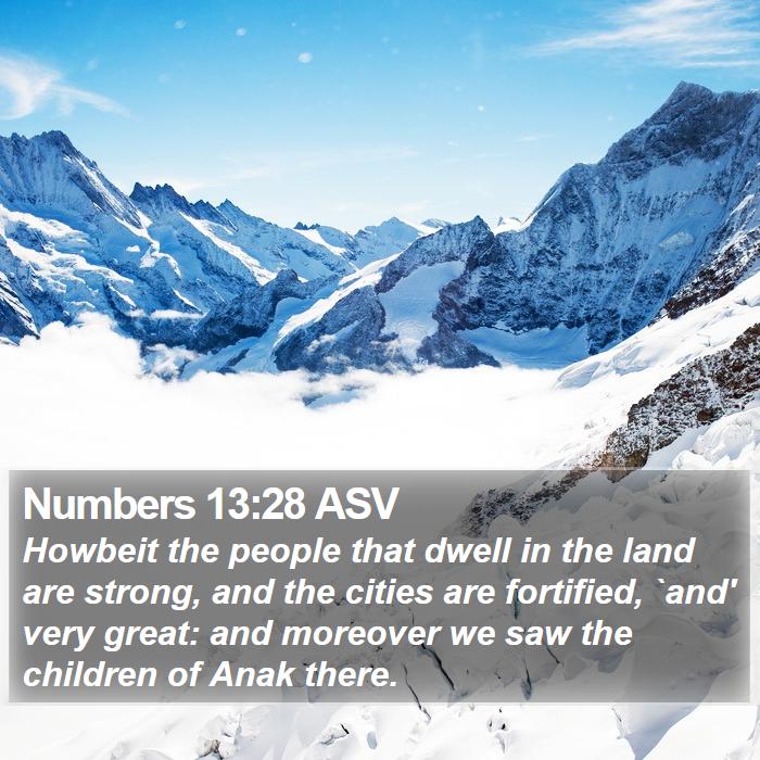 Numbers 13:28 ASV Bible Study