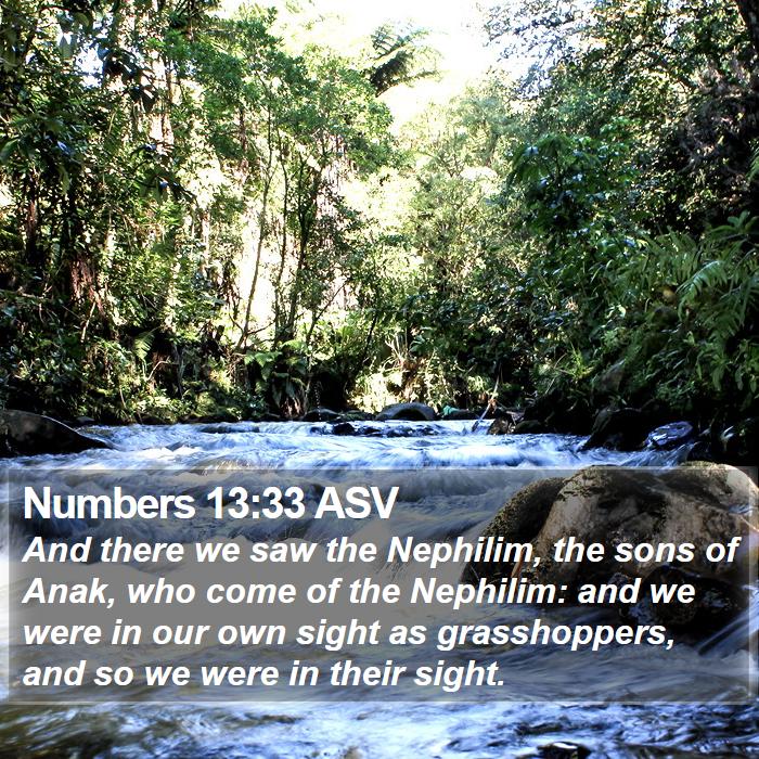 Numbers 13:33 ASV Bible Study