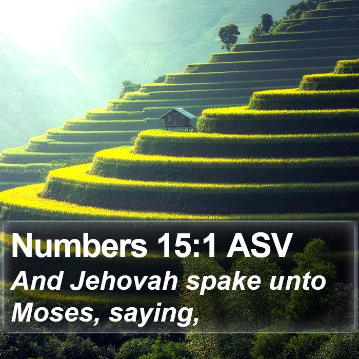 Numbers 15:1 ASV Bible Study