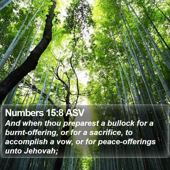 Numbers 15:8 ASV Bible Study