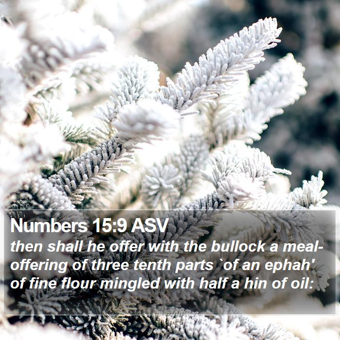 Numbers 15:9 ASV Bible Study