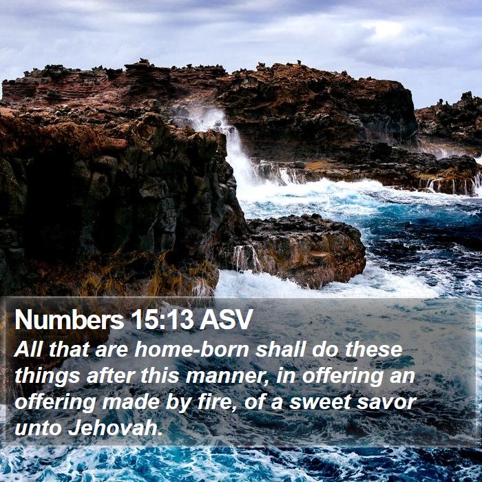 Numbers 15:13 ASV Bible Study