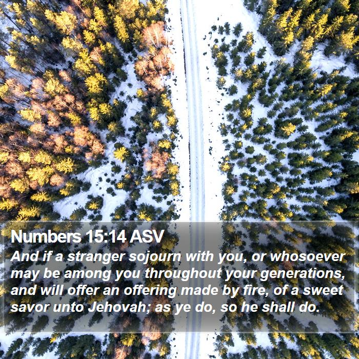 Numbers 15:14 ASV Bible Study