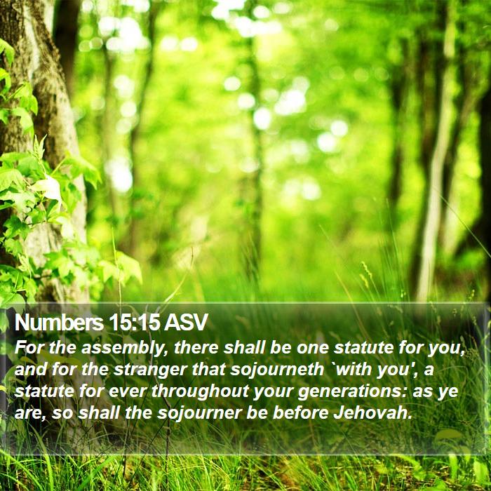 Numbers 15:15 ASV Bible Study