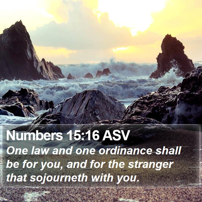 Numbers 15:16 ASV Bible Study