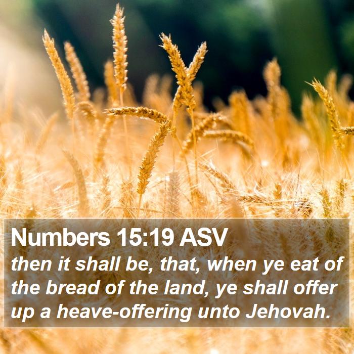 Numbers 15:19 ASV Bible Study