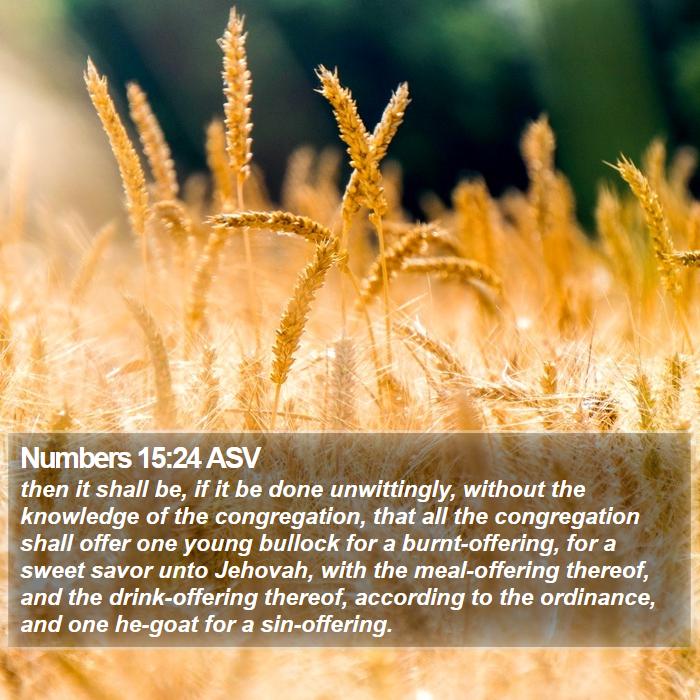 Numbers 15:24 ASV Bible Study