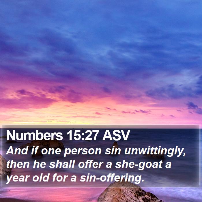 Numbers 15:27 ASV Bible Study