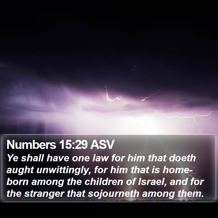 Numbers 15:29 ASV Bible Study