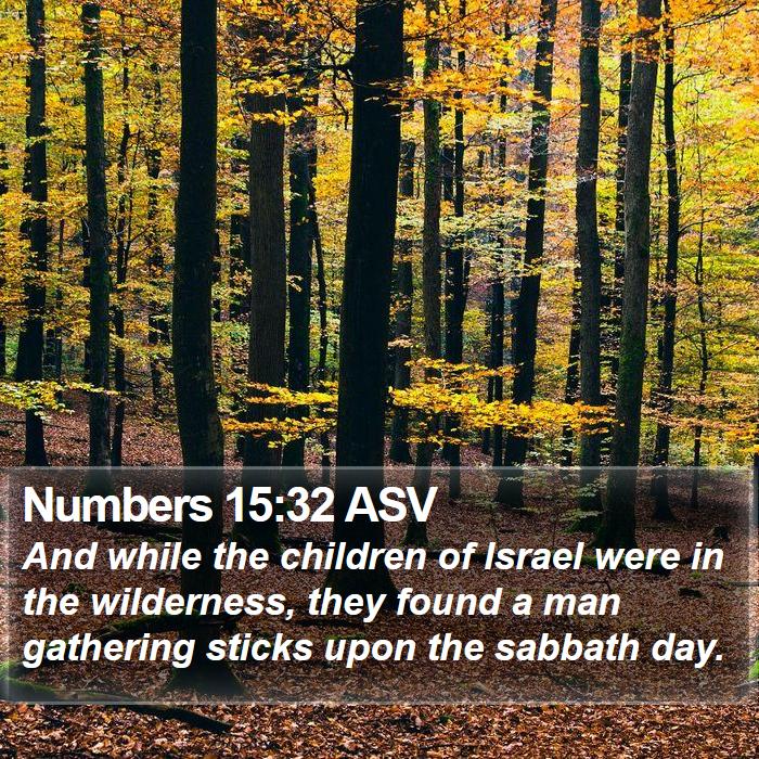 Numbers 15:32 ASV Bible Study