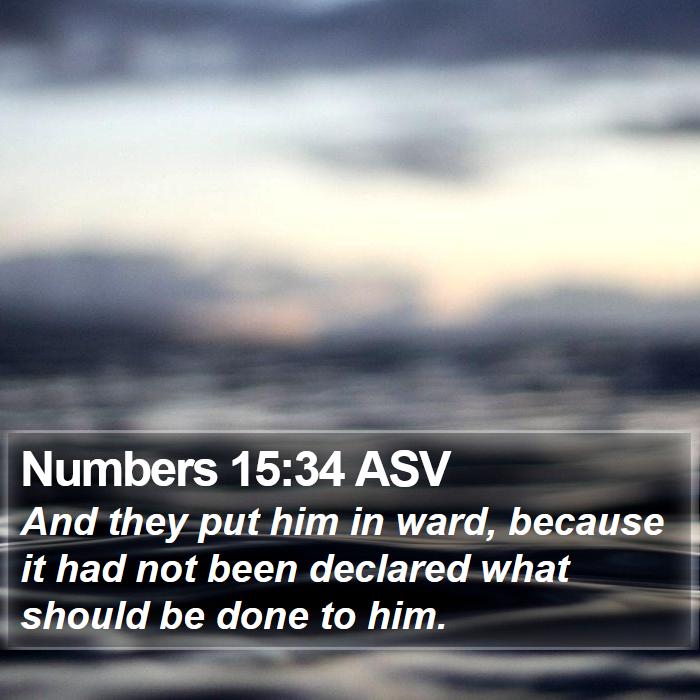 Numbers 15:34 ASV Bible Study