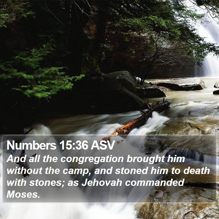 Numbers 15:36 ASV Bible Study