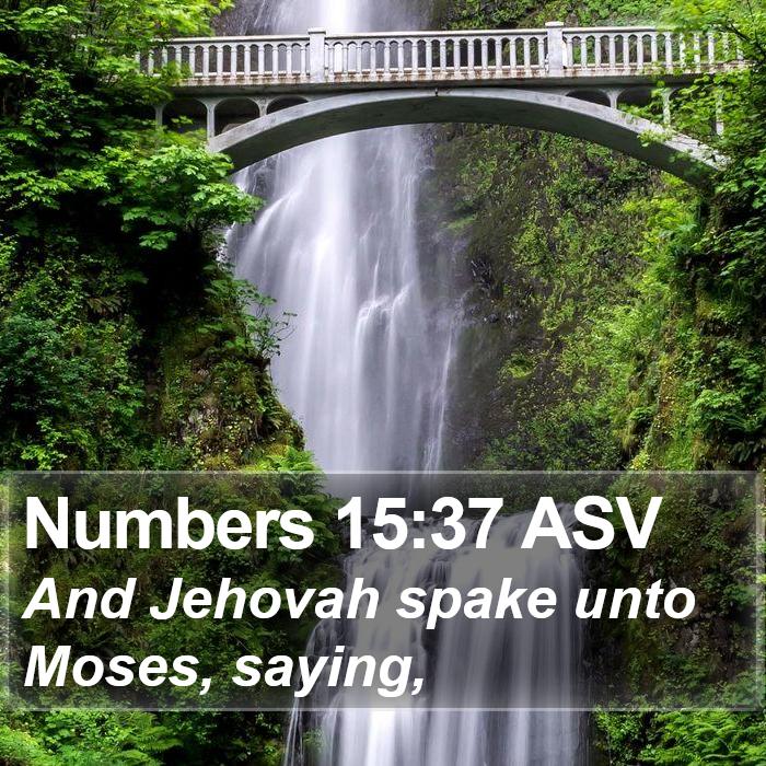 Numbers 15:37 ASV Bible Study