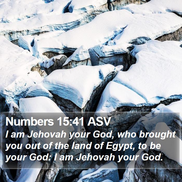 Numbers 15:41 ASV Bible Study