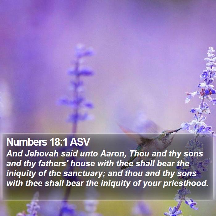 Numbers 18:1 ASV Bible Study