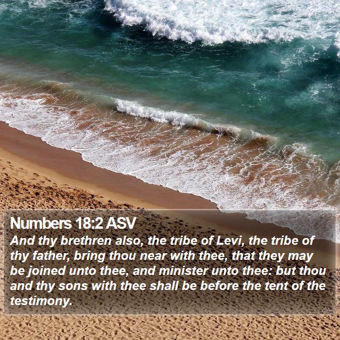 Numbers 18:2 ASV Bible Study