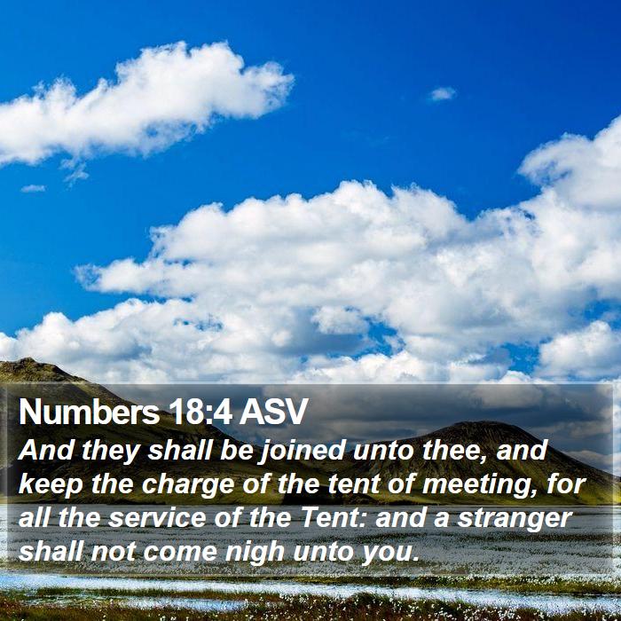 Numbers 18:4 ASV Bible Study