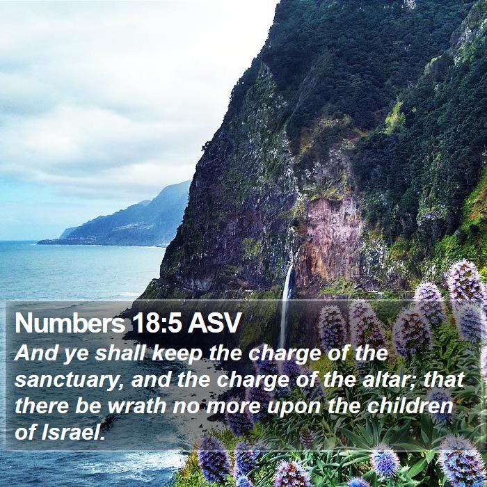 Numbers 18:5 ASV Bible Study