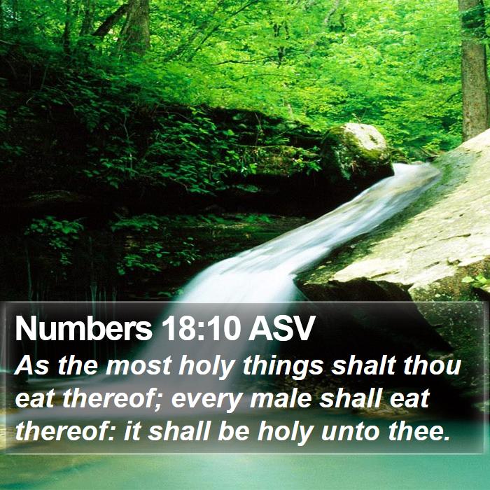 Numbers 18:10 ASV Bible Study