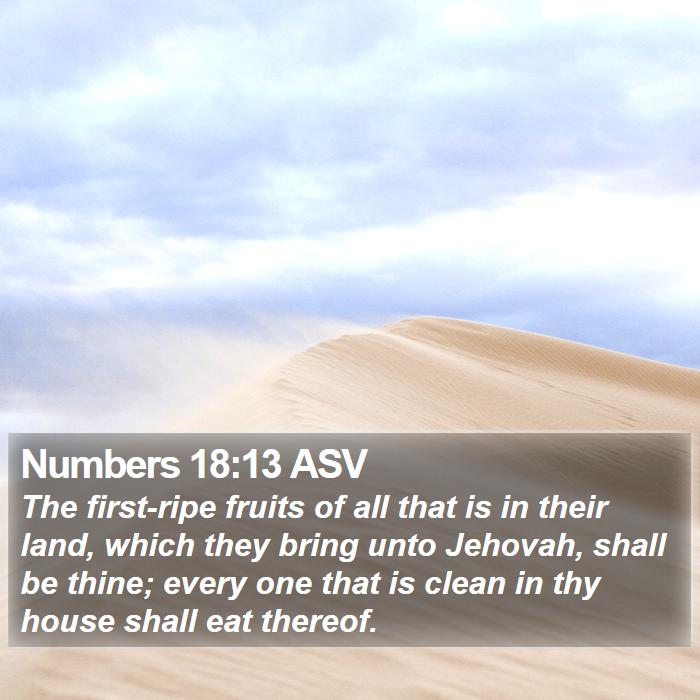 Numbers 18:13 ASV Bible Study