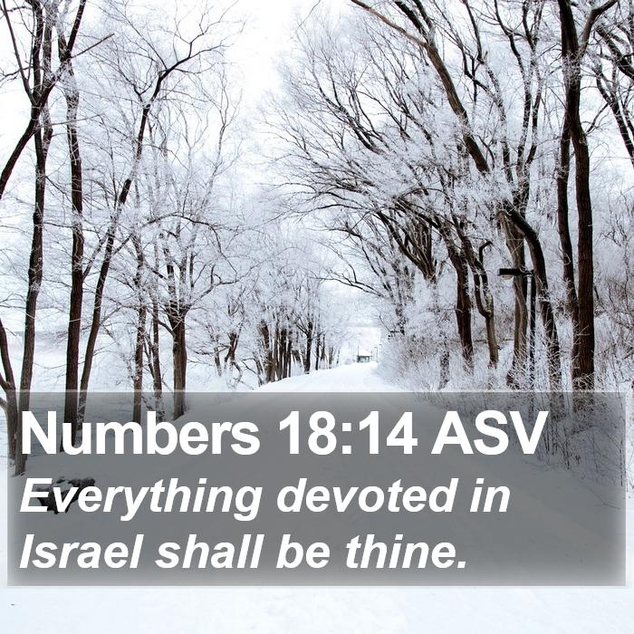 Numbers 18:14 ASV Bible Study