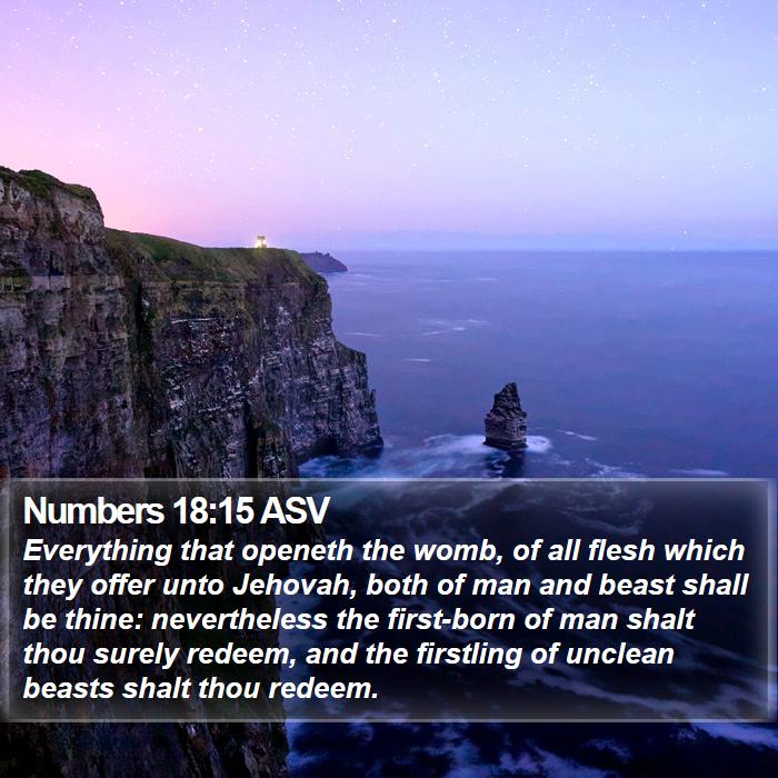 Numbers 18:15 ASV Bible Study