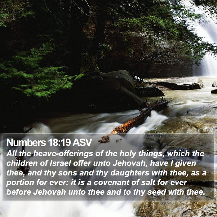 Numbers 18:19 ASV Bible Study