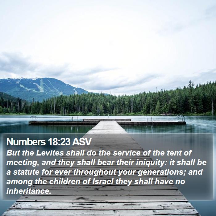 Numbers 18:23 ASV Bible Study