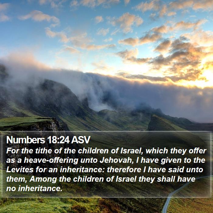 Numbers 18:24 ASV Bible Study