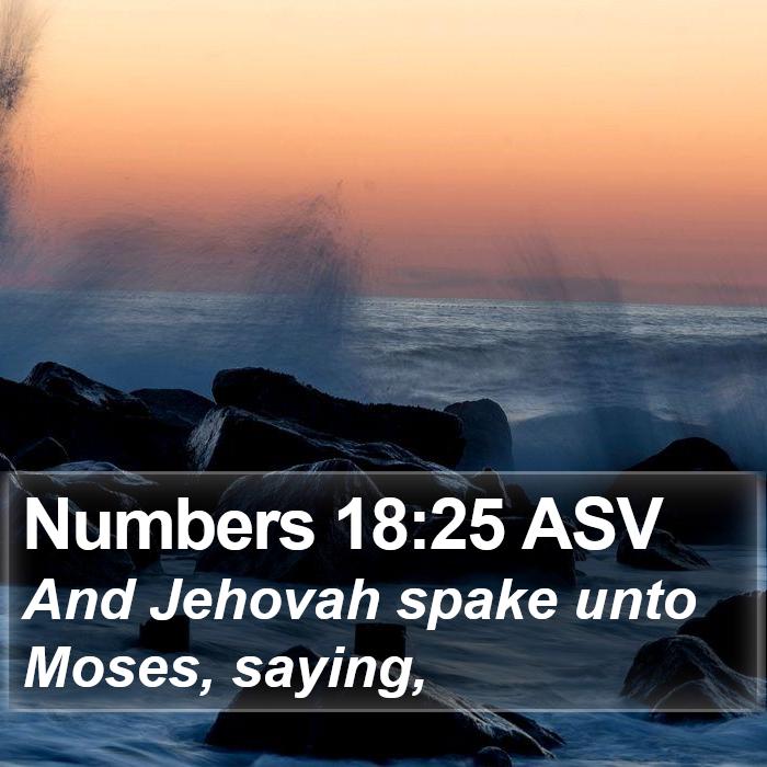 Numbers 18:25 ASV Bible Study