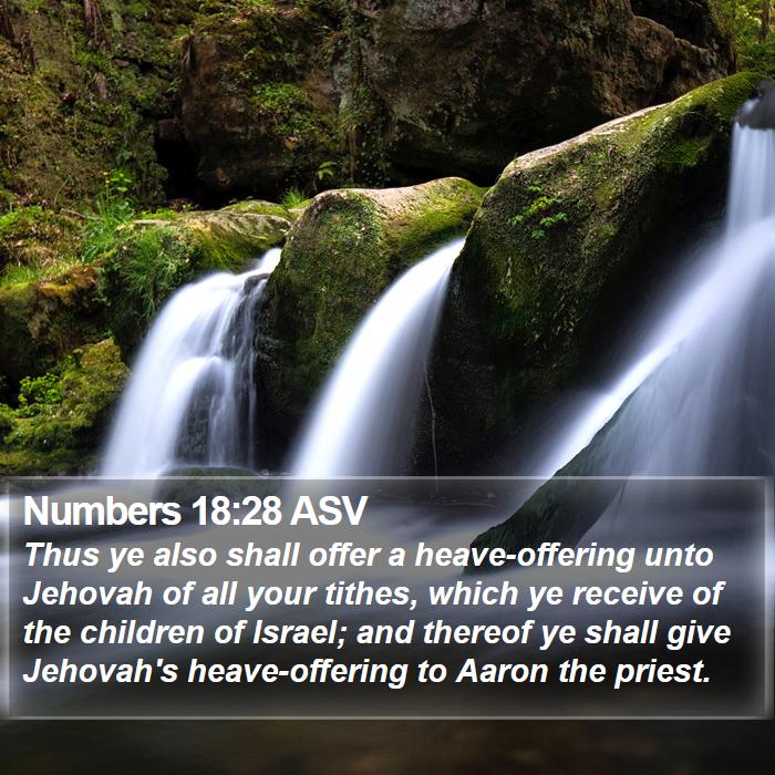 Numbers 18:28 ASV Bible Study