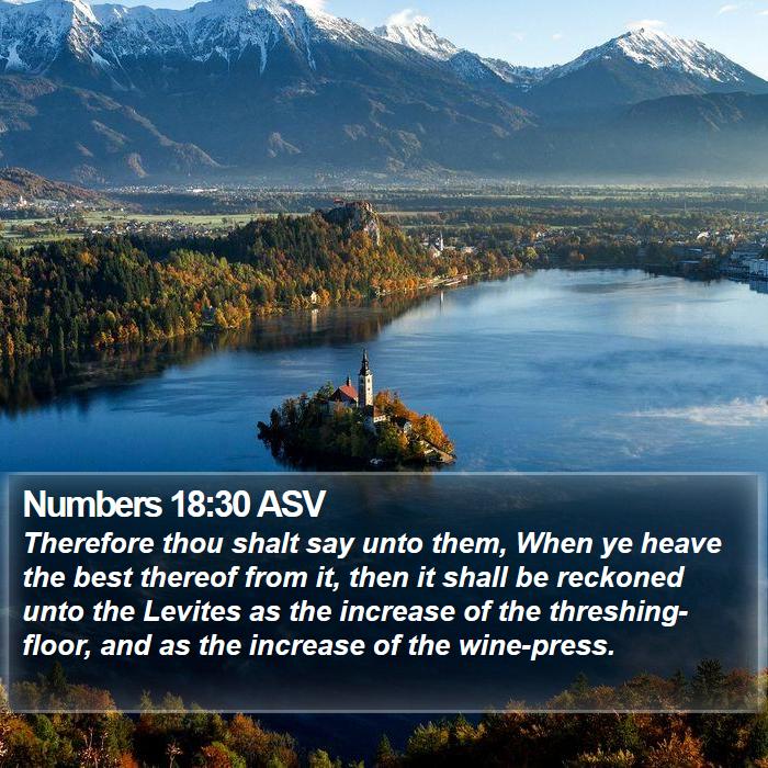 Numbers 18:30 ASV Bible Study