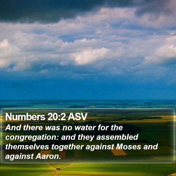 Numbers 20:2 ASV Bible Study