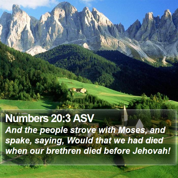 Numbers 20:3 ASV Bible Study