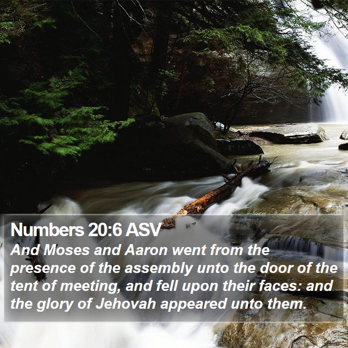 Numbers 20:6 ASV Bible Study