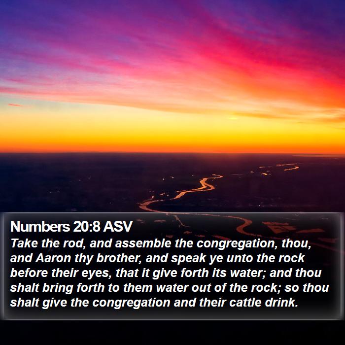 Numbers 20:8 ASV Bible Study