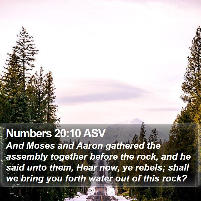 Numbers 20:10 ASV Bible Study