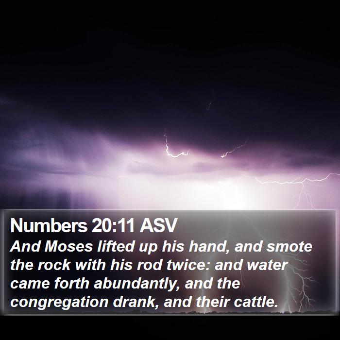 Numbers 20:11 ASV Bible Study