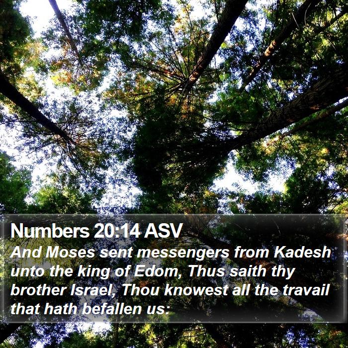 Numbers 20:14 ASV Bible Study